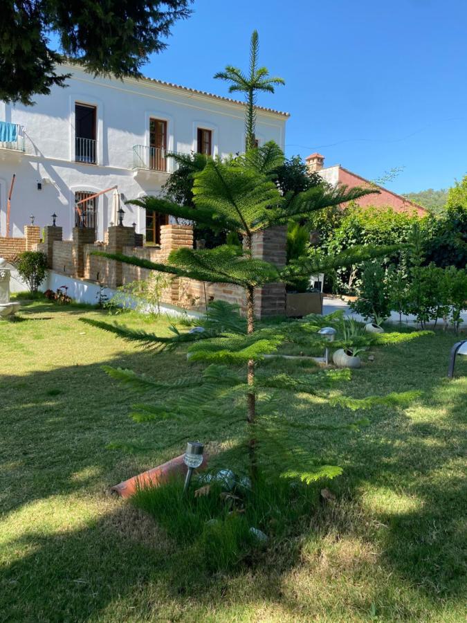 Hotel Luz Almonaster Almonaster la Real Ngoại thất bức ảnh